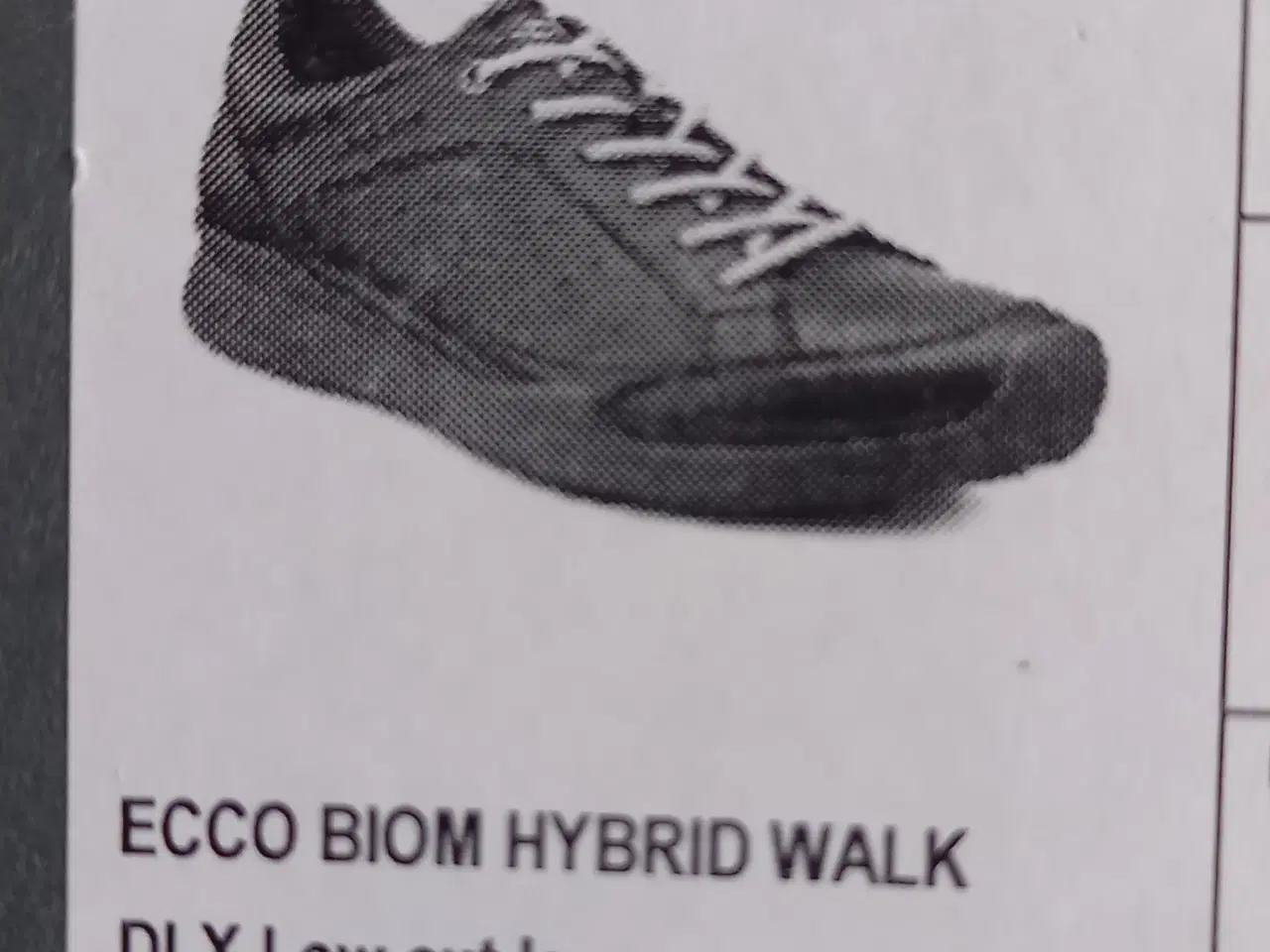 Billede 1 - ECCO BIOM hybrid walk 