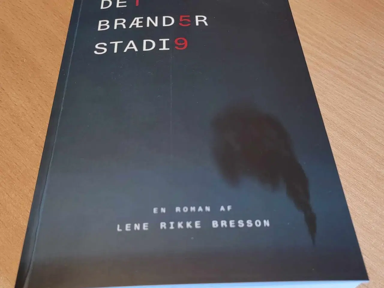 Billede 2 - Det brænder stadig Lene Rikke Bresson