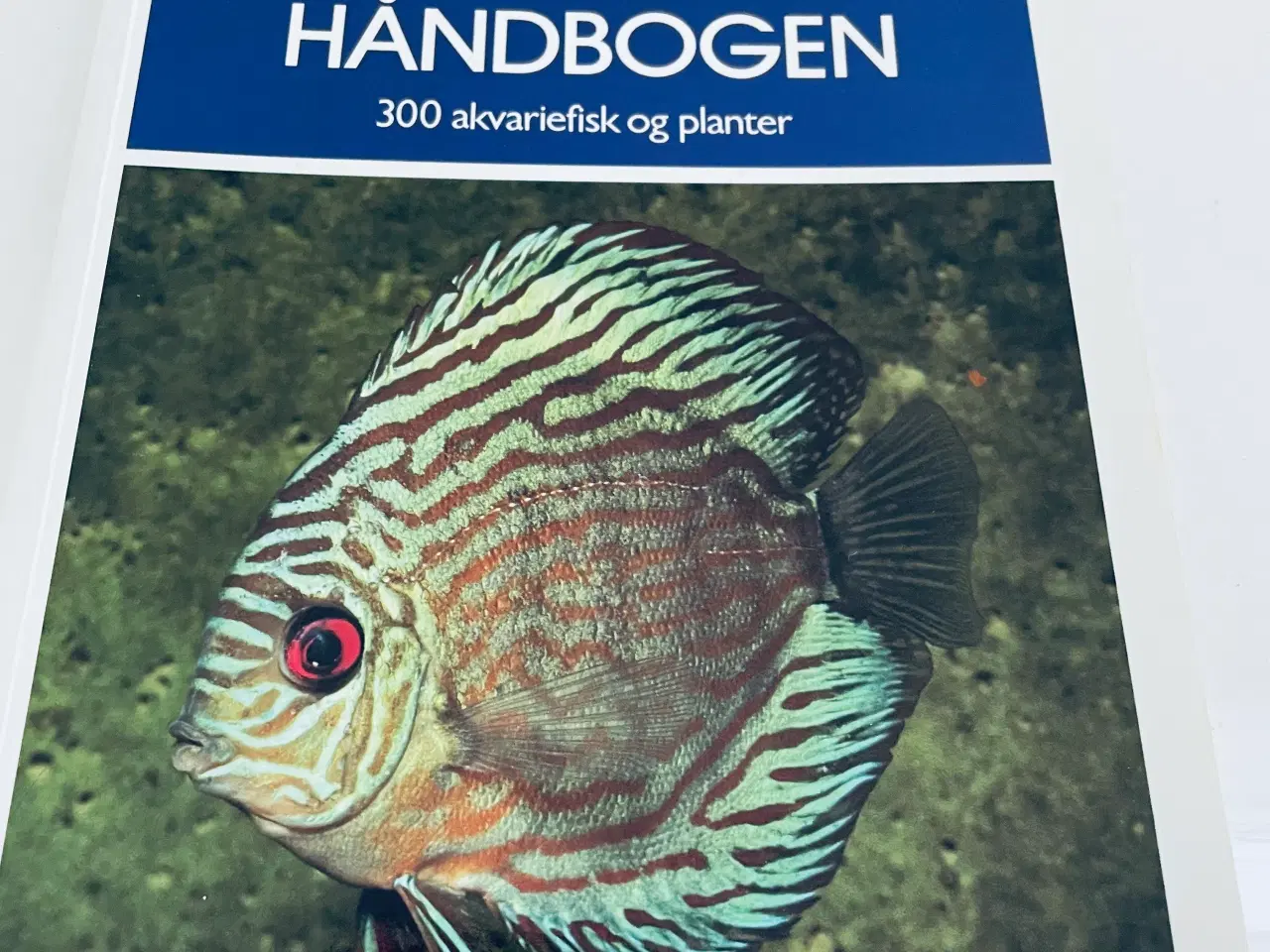 Billede 1 - Akvariefisk / akvarie håndbogen