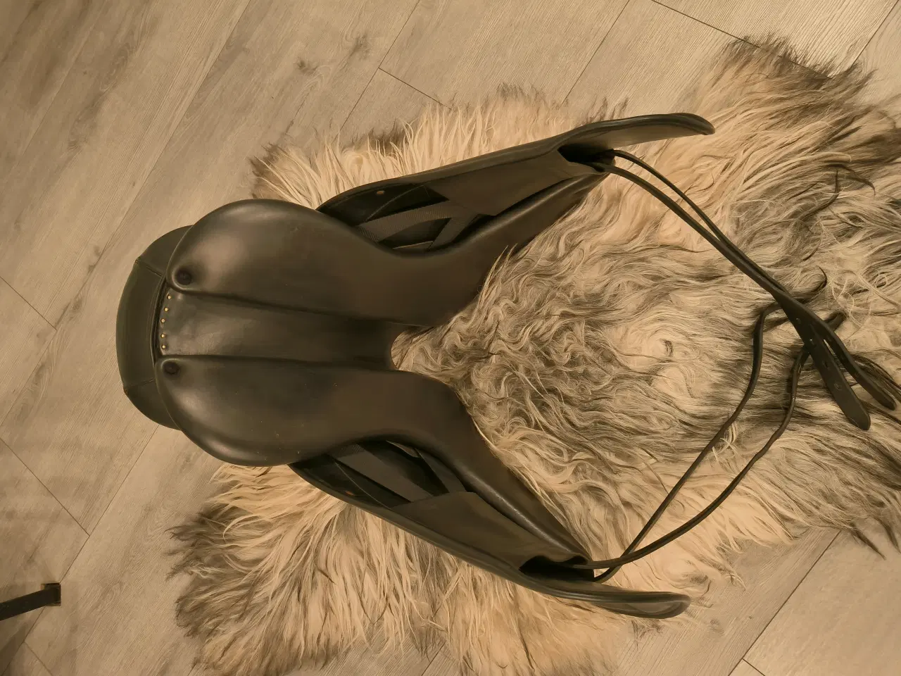 Billede 3 - Islændersadel Ástund Epona 