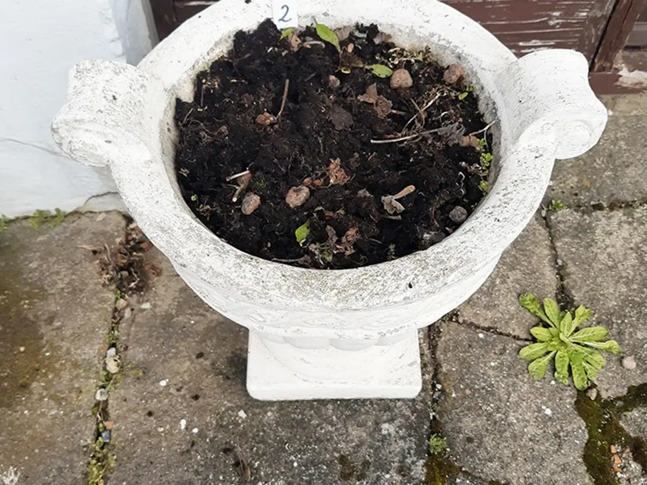 Billede 2 - Havekrukke