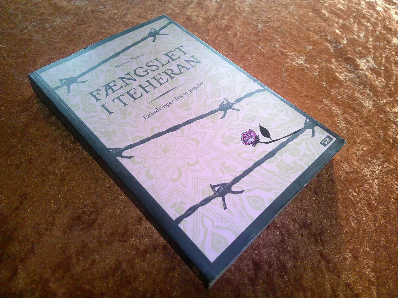 Billede 1 - Fængslet i Teheran, Marina Nemat