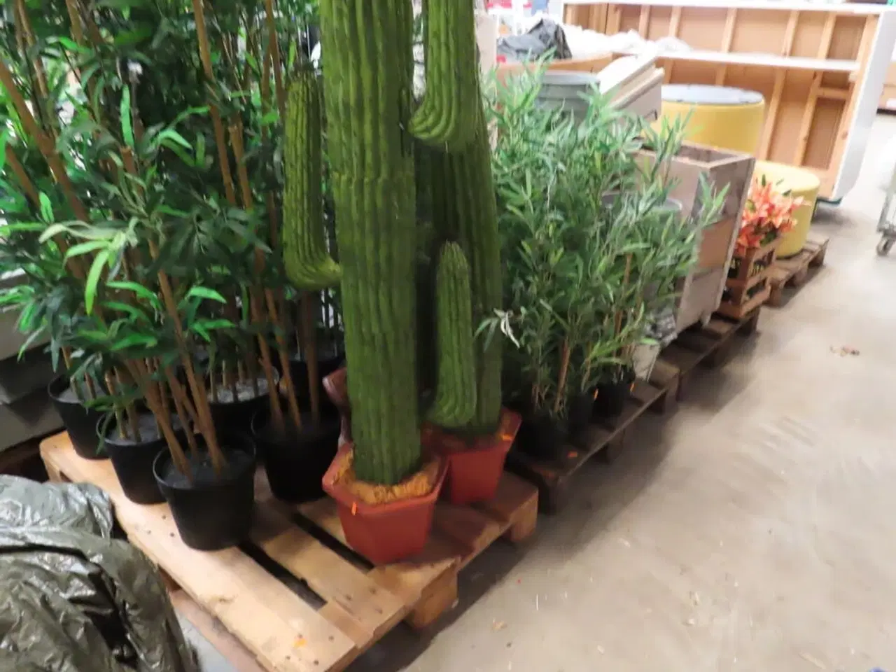 Billede 1 - Diverse falske planter