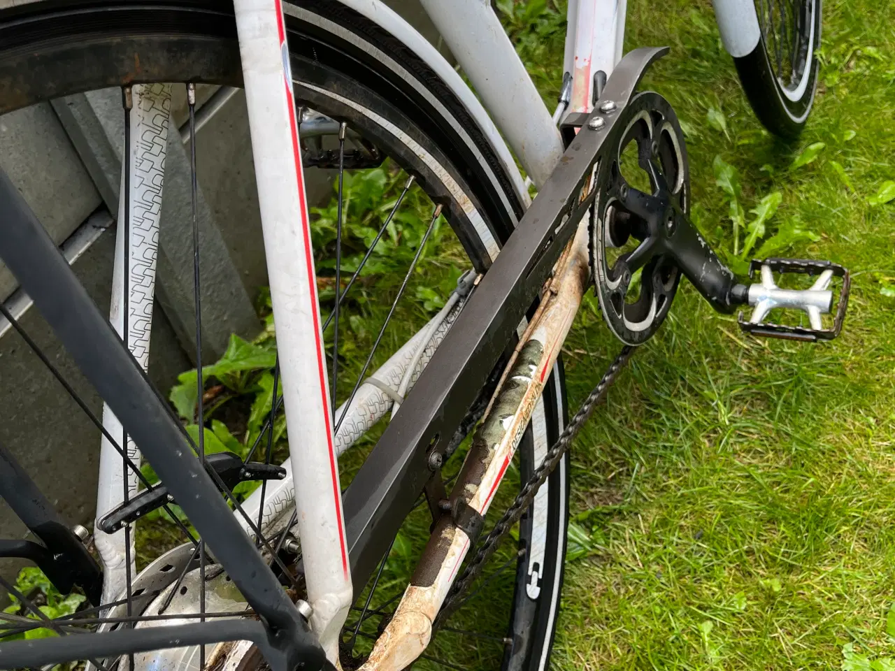 Billede 3 - Hvid dame i cykel str 52 