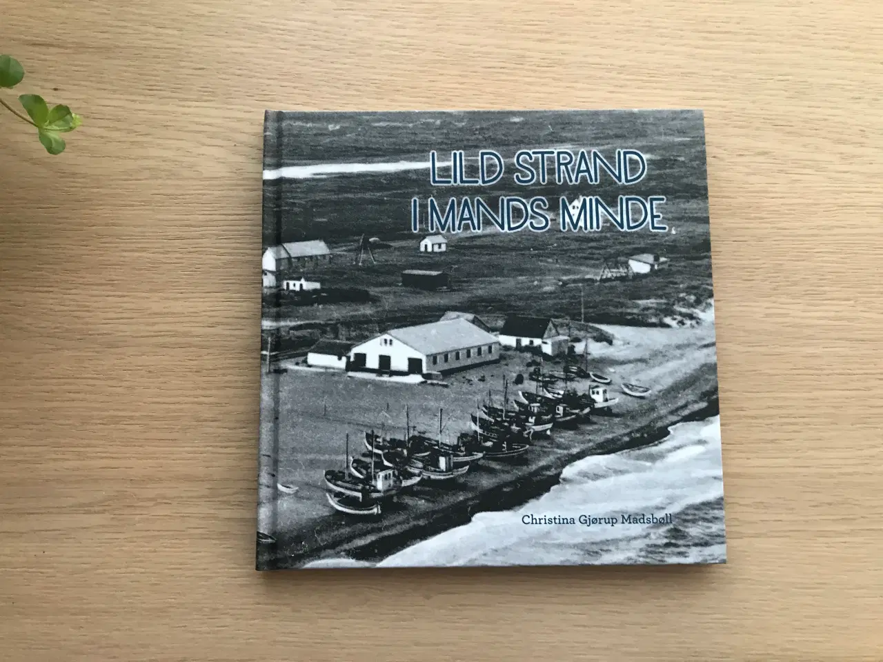 Billede 1 - Lild Strand i Mands Minde