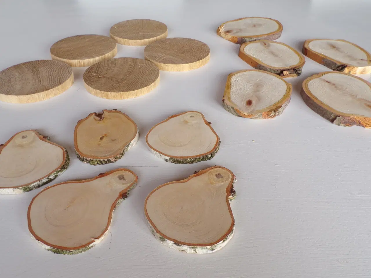 Billede 2 - 15 NYE Eg / Thuja / Birk Træskiver