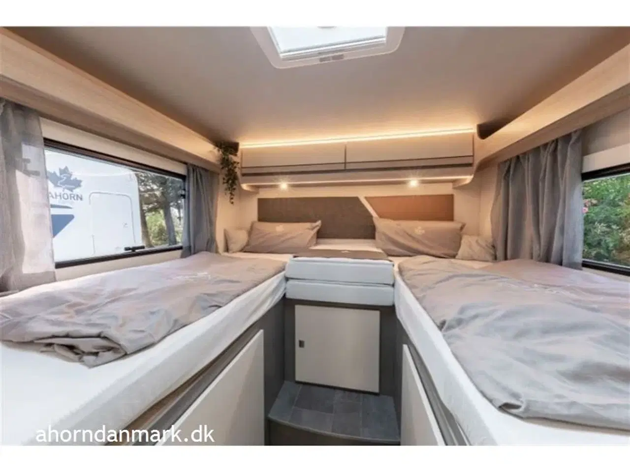 Billede 5 - 2025 - Ahorn Canada AE Canada AE 2024