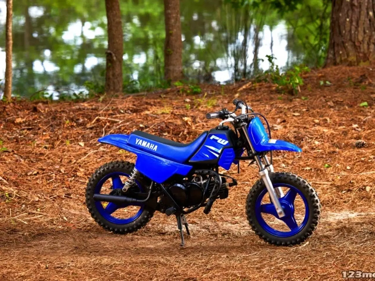 Billede 5 - Yamaha PW 50