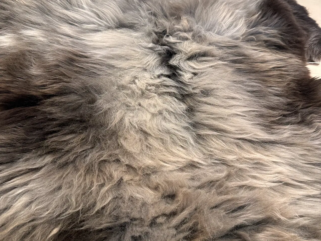 Billede 3 - Lammeskind 