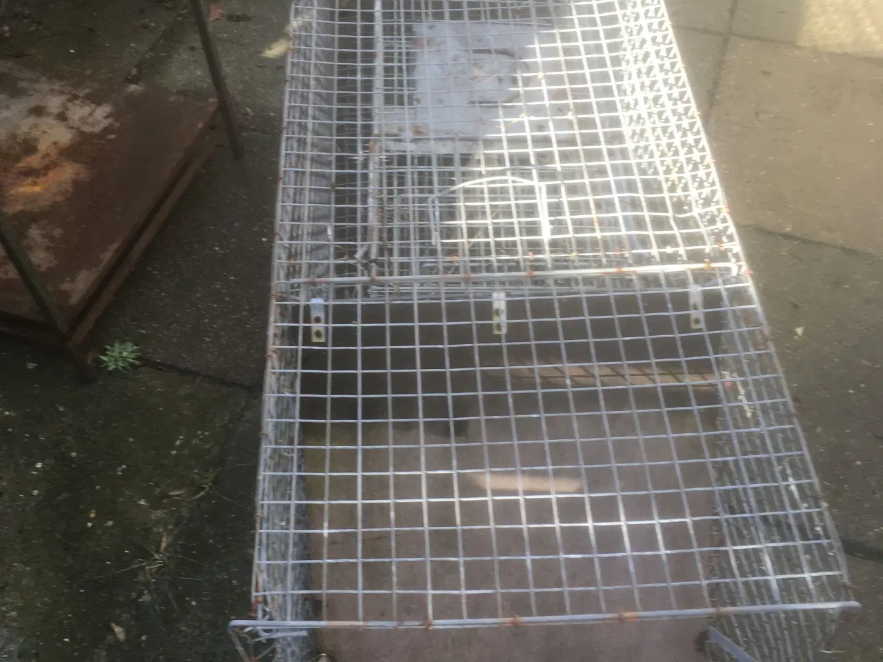 Billede 5 - Ræve/+mår fælder