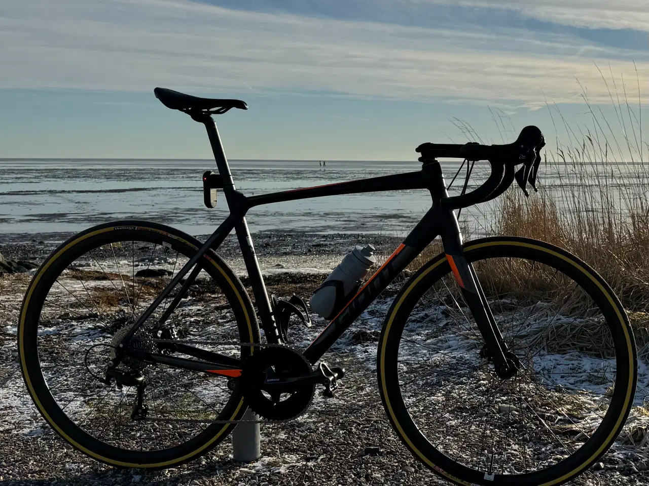 Billede 3 - Giant Contend SL - størrelse M/L