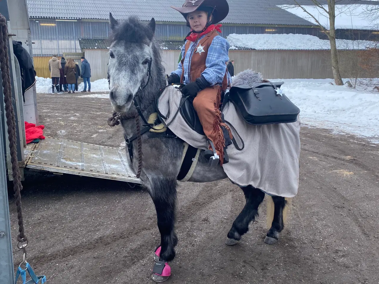 Billede 5 - Jake LF – 6 års Dartmoor vallak (ca. 126 cm)