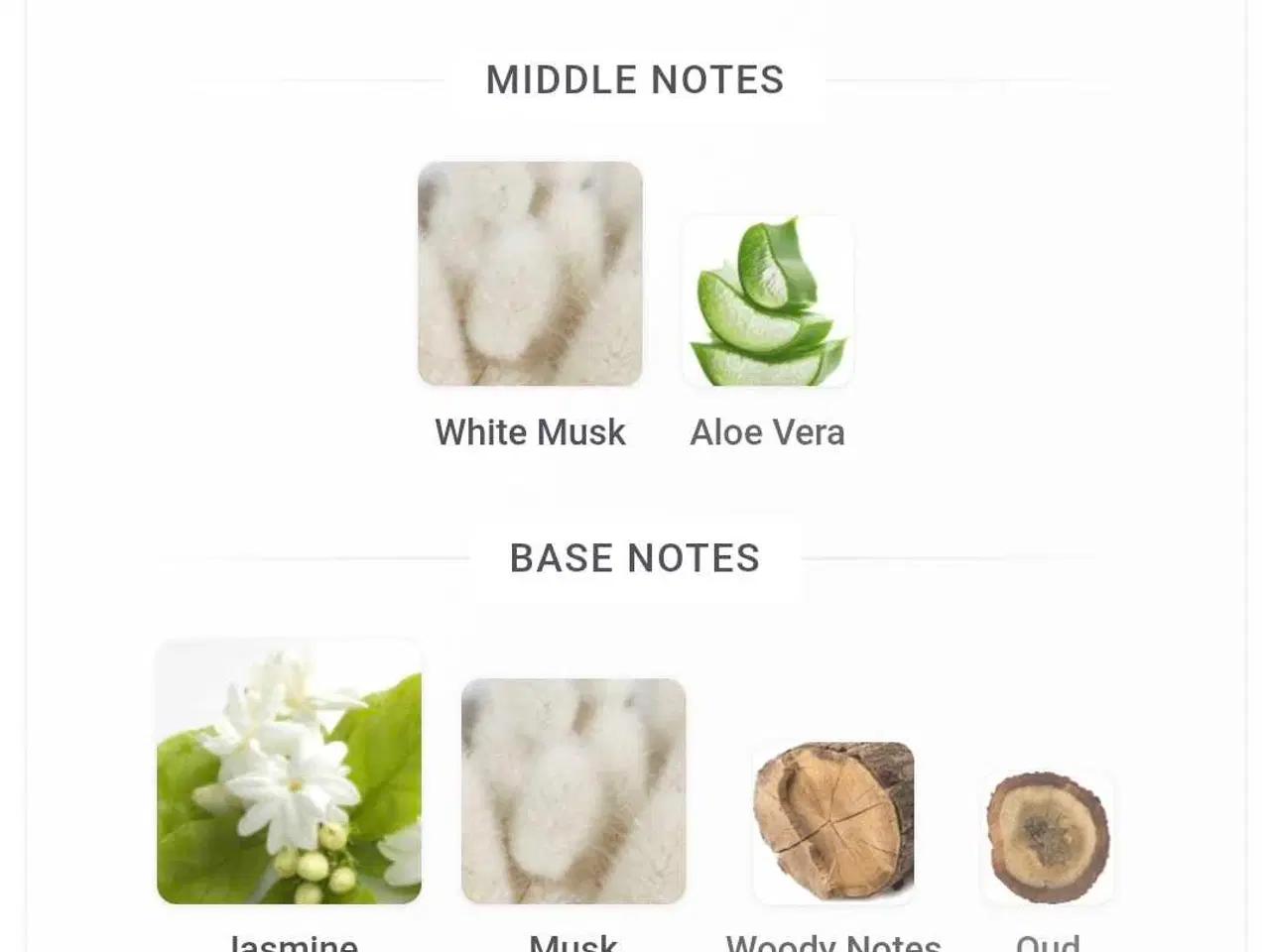 Billede 3 - Ameera Al Arab - Asdaaf - 5 ml.