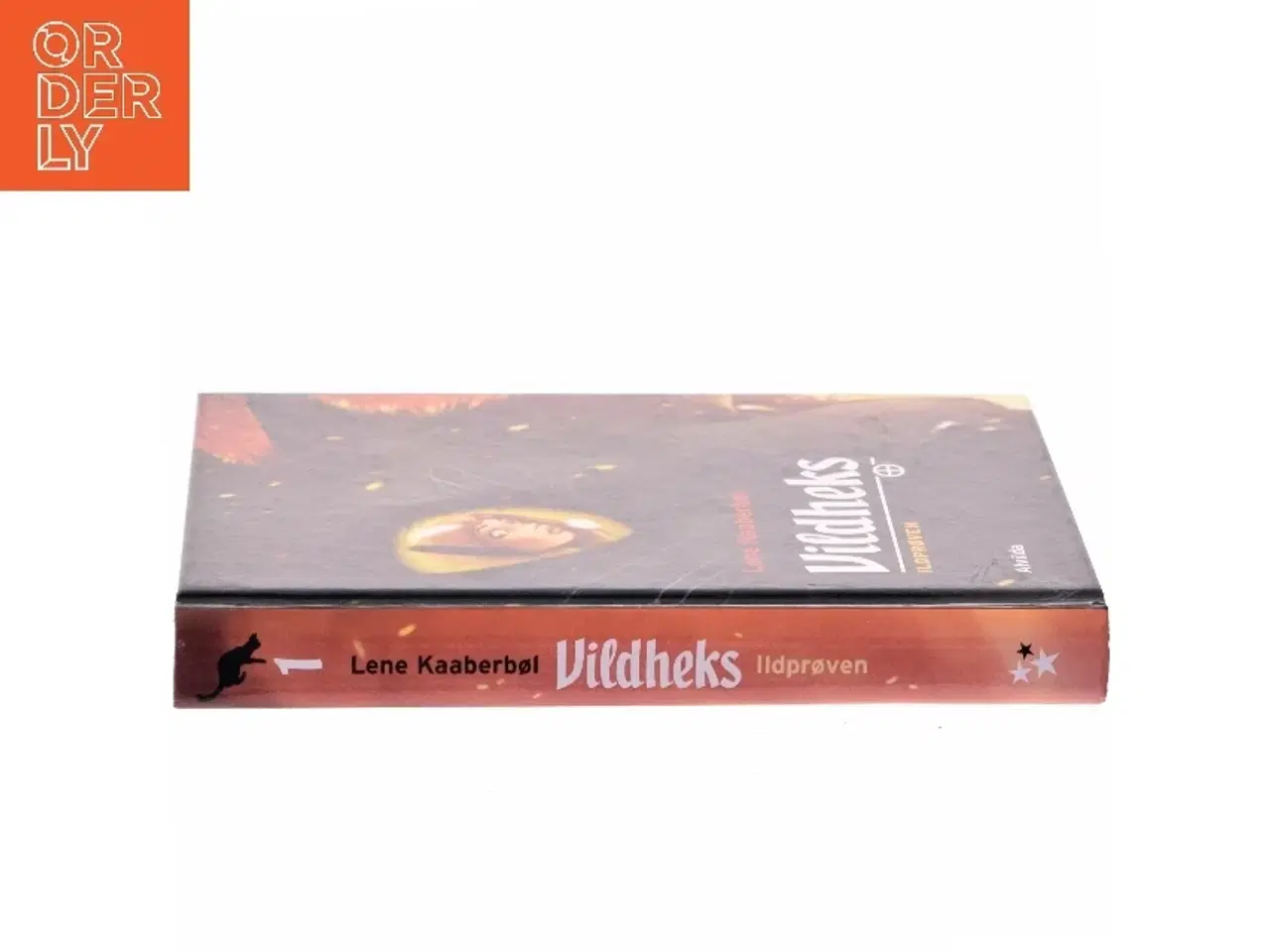Billede 2 - Vildheks. Bind 1, Ildprøven af Lene Kaaberbøl (Bog)