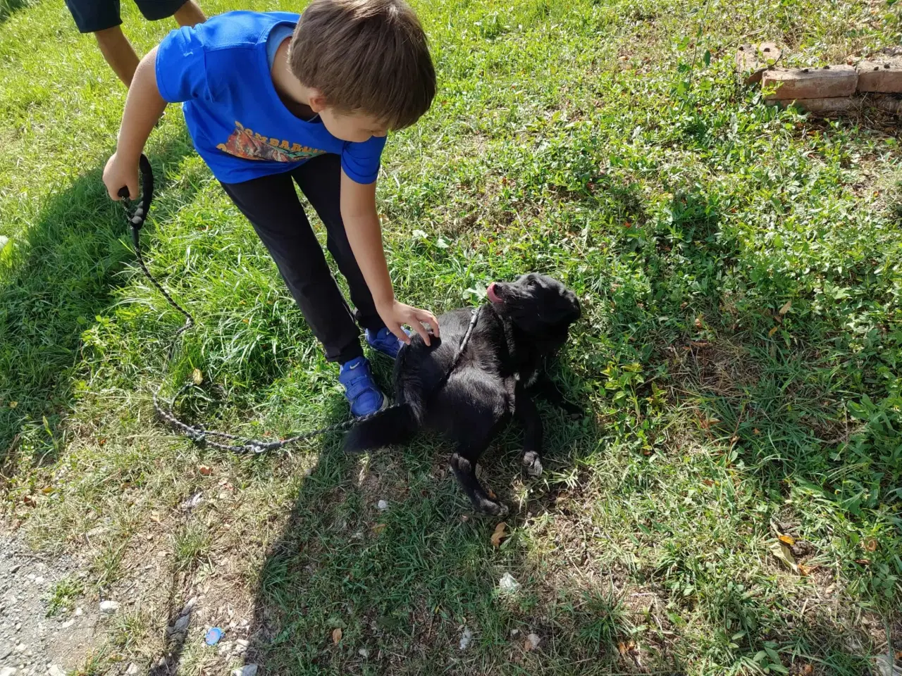 Billede 8 - Negra - Glad mild unghund 