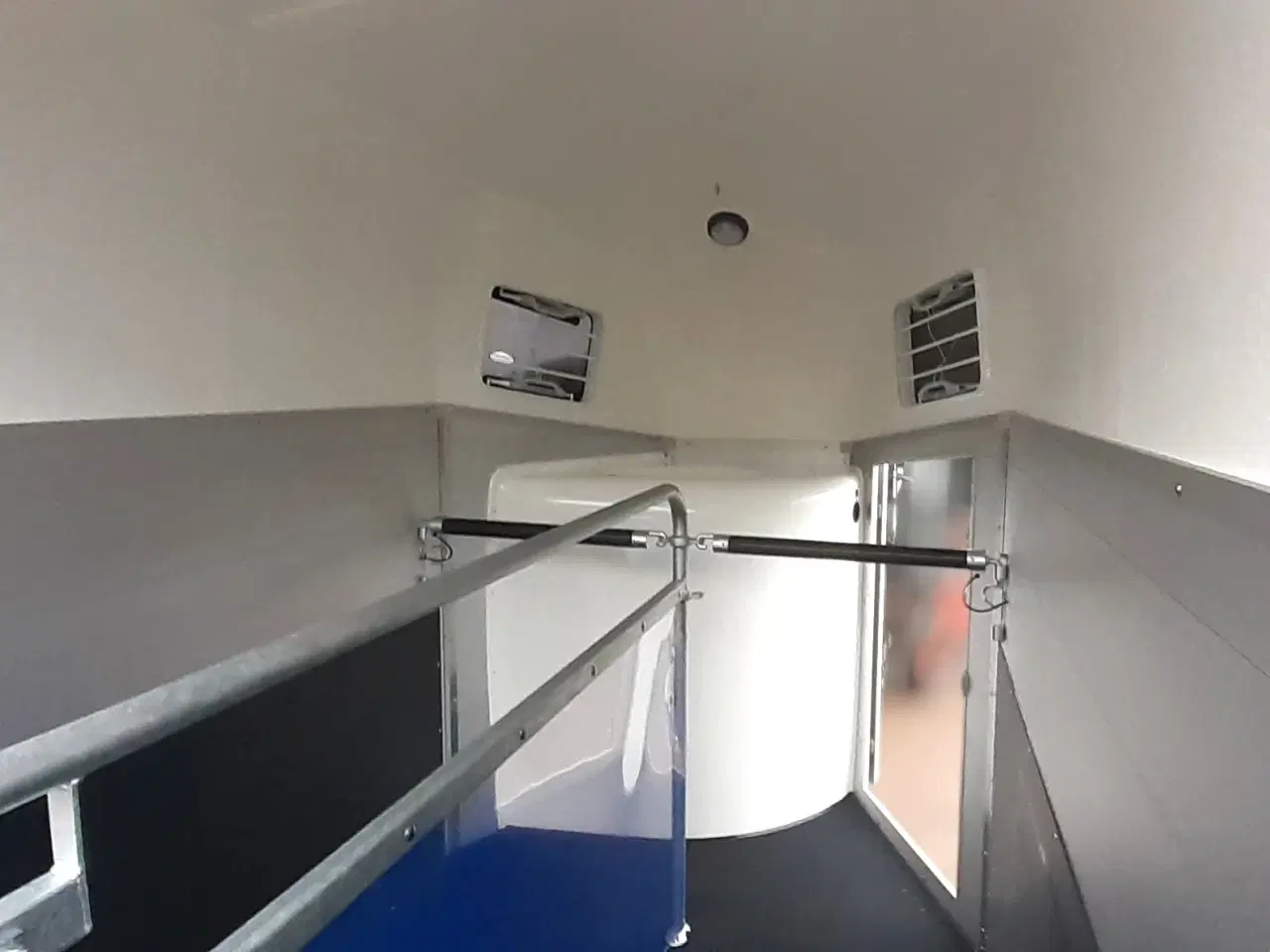 Billede 8 - Böckmann Champion Esprit (Udstilling)