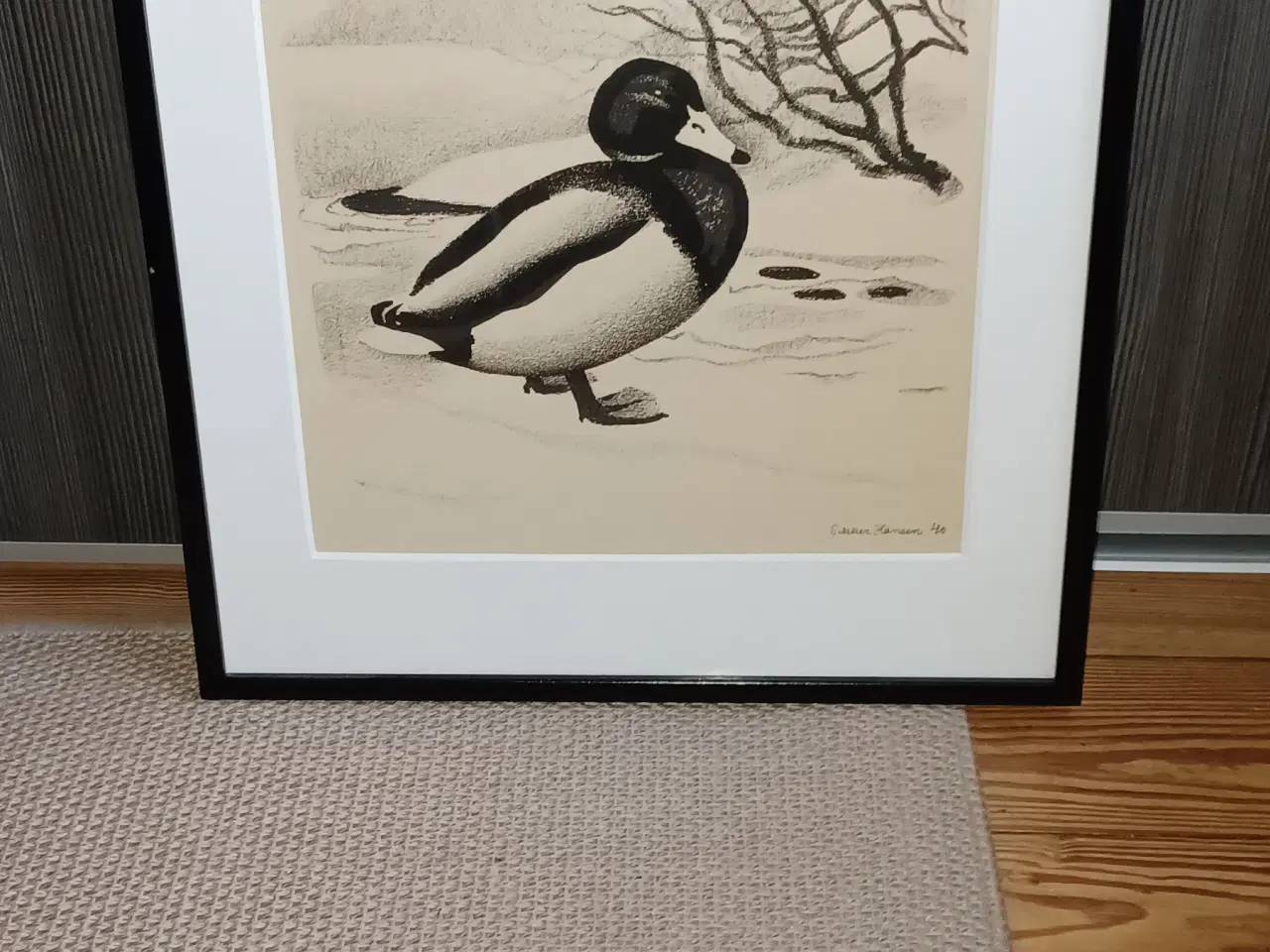 Billede 1 - Billede af and