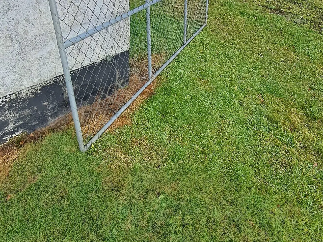 Billede 1 - galvaniseret låge 