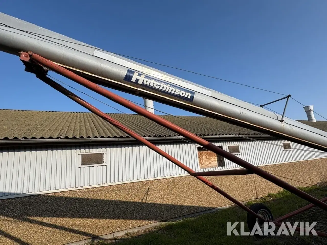 Billede 6 - Kornsnegl Hutchinson