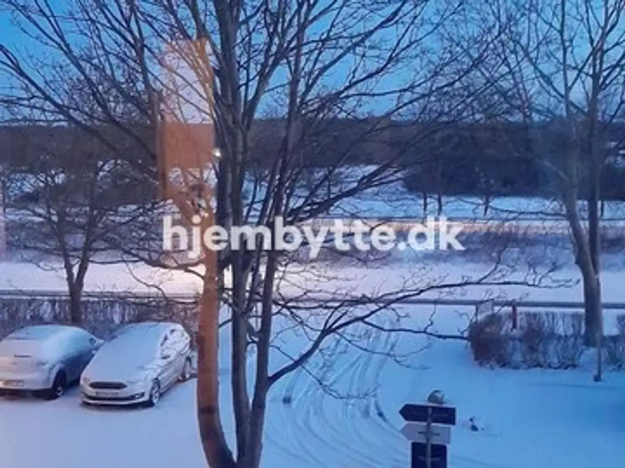 Billede 9 - Hjembytte - Sennepshaven