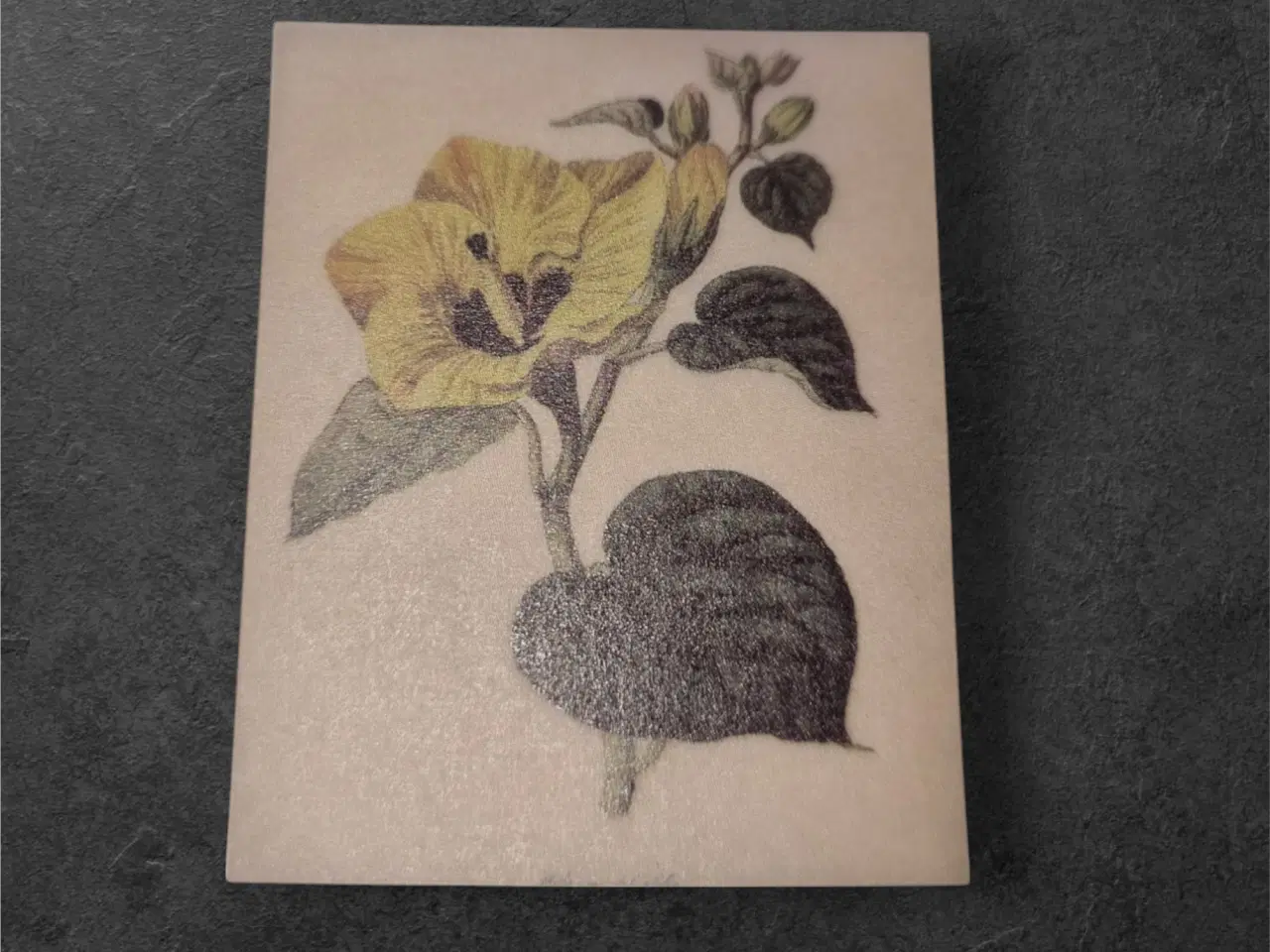 Billede 1 - Botaniske papirark med gul blomst og lys baggrund 