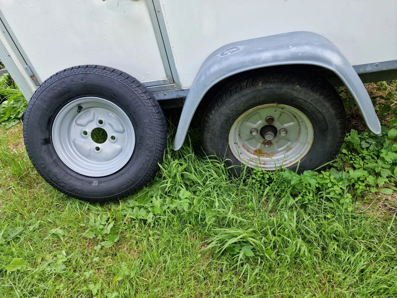 Billede 2 - Hundetrailer Isoleret 