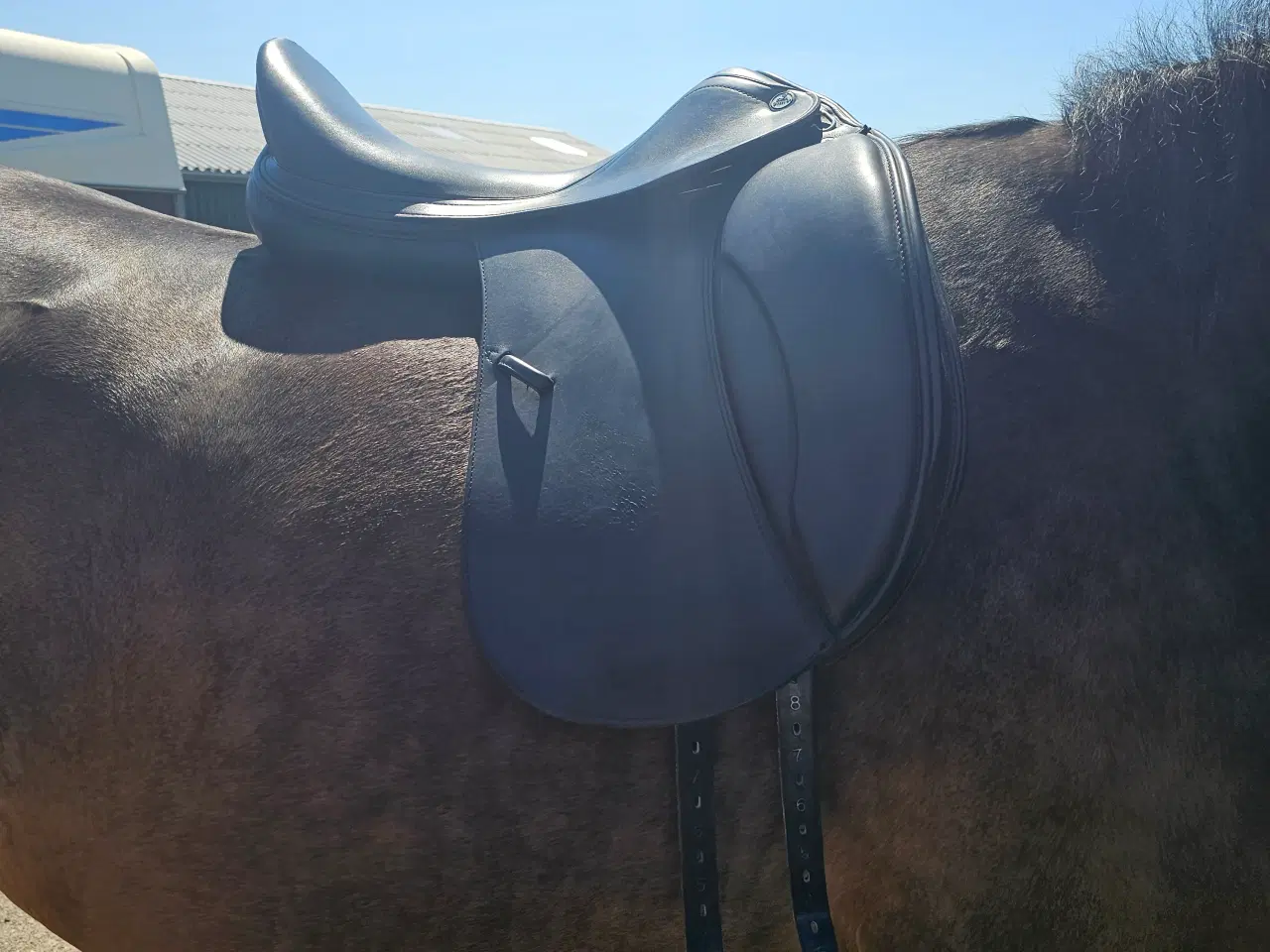 Billede 10 - Prestige x Helen 18"