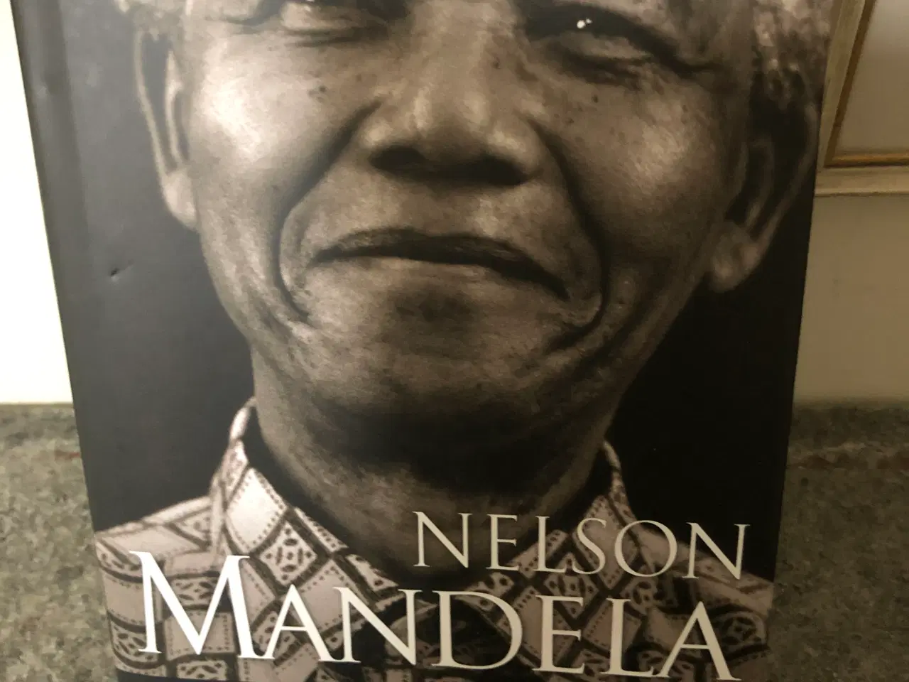 Billede 1 - Nelson Mandela-Vejen til Frihed