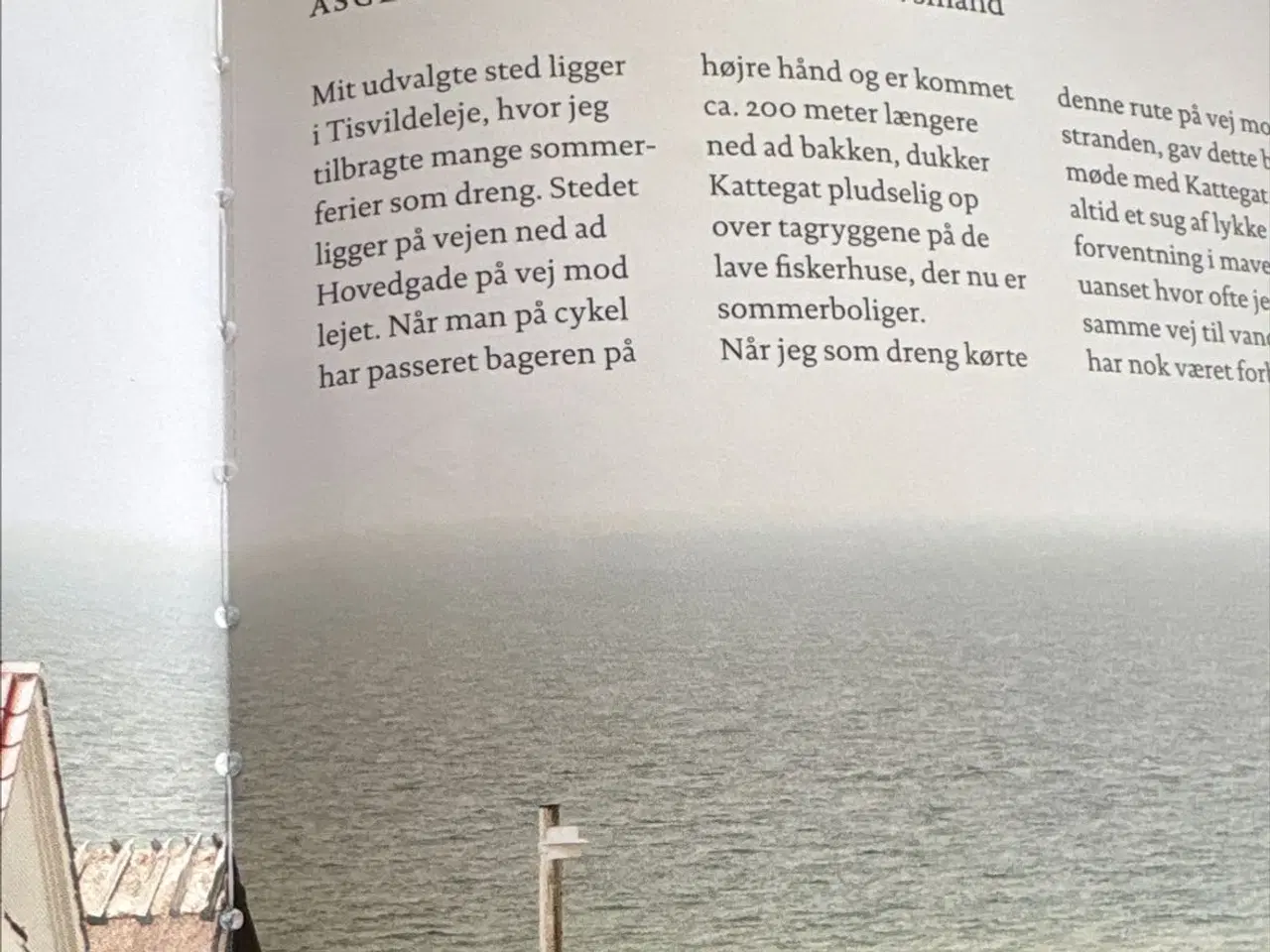 Billede 3 - Bog - “Mit Danmark”