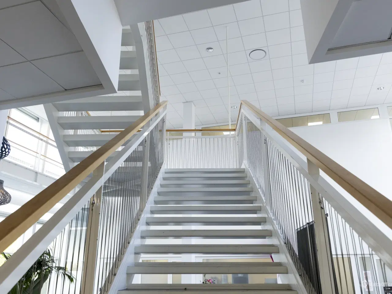 Billede 3 - Effektivt kontor med fælles kantine