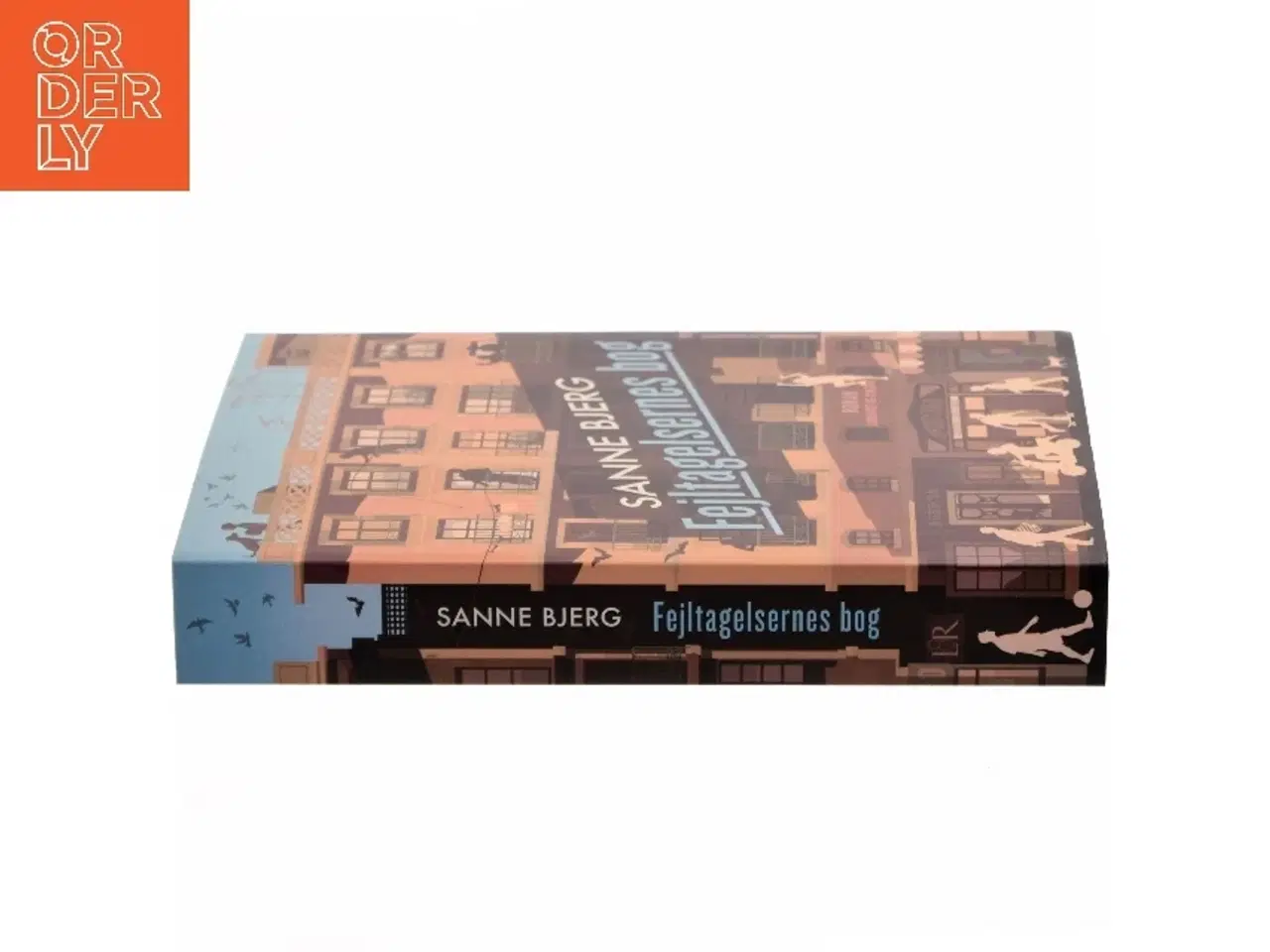 Billede 2 - Fejltagelsernes bog af Sanne Bjerg (f. 1965) (Bog)