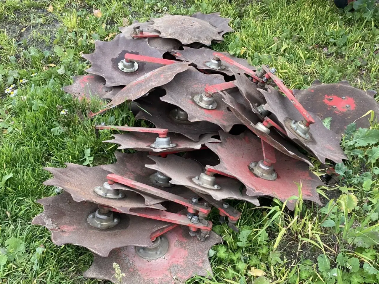 Billede 4 - Hatzenbichler 12 rækket med sæde til styr og tallerkner til små afgrøder