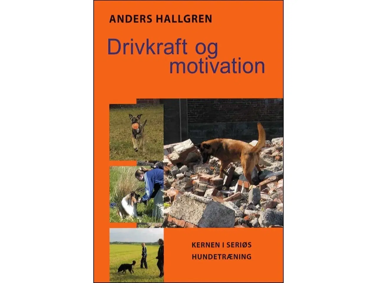 Billede 1 - Drivkraft og motivation