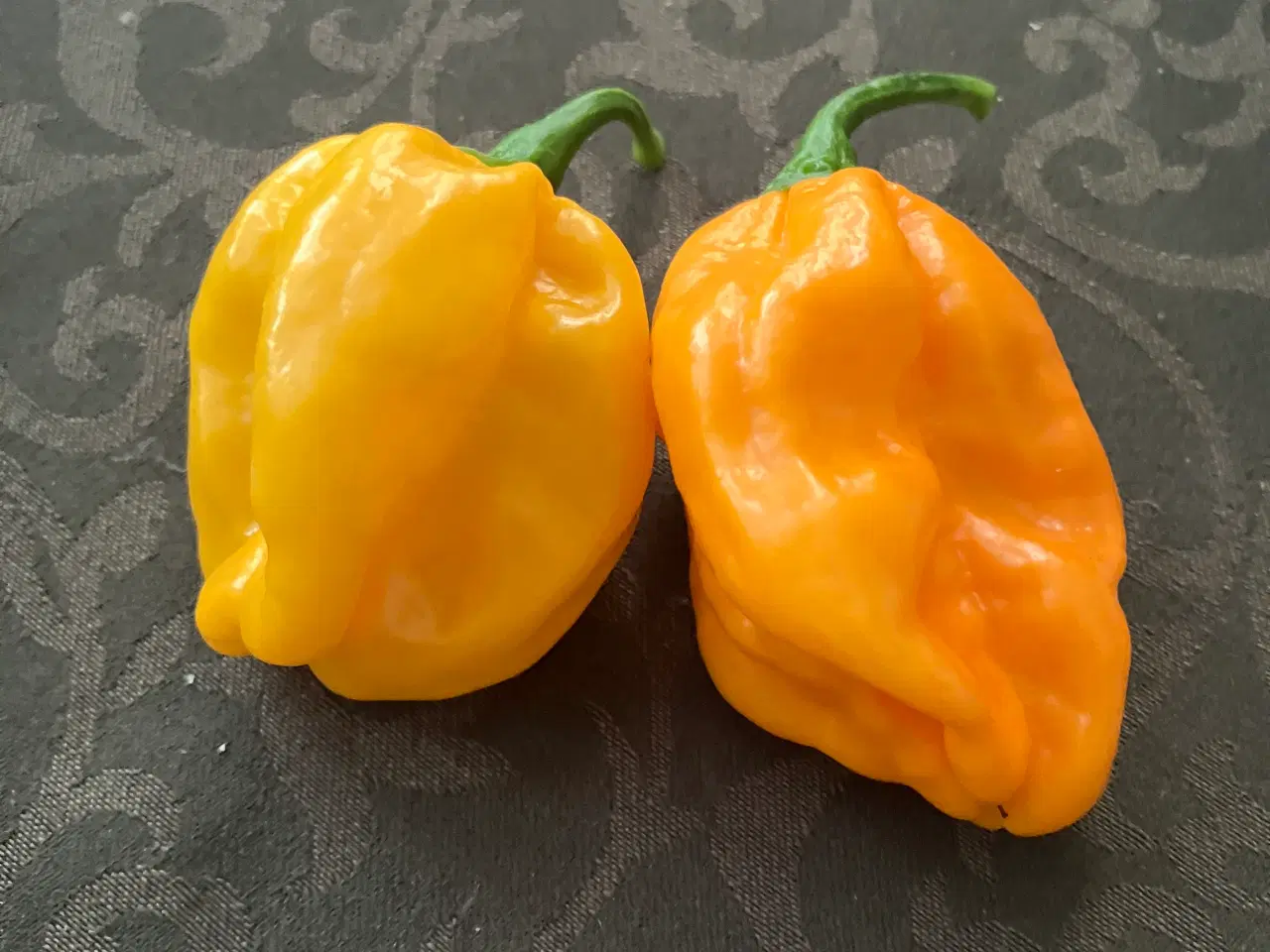 Billede 1 - Habanero dulce chili frø
