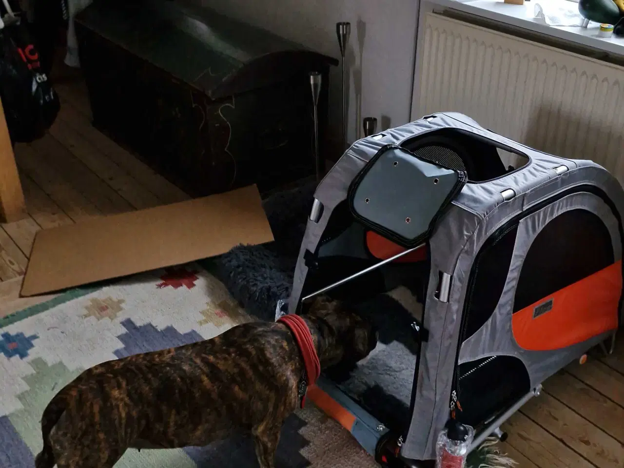 Billede 6 - Cykeltrailer anhænger til hund