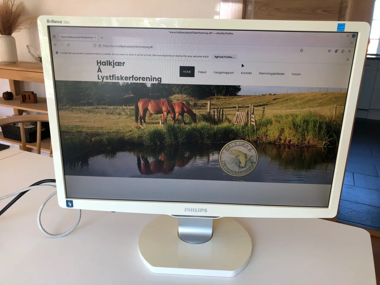 Billede 1 - Philips Brilliance 220C Skærm 22 tommer