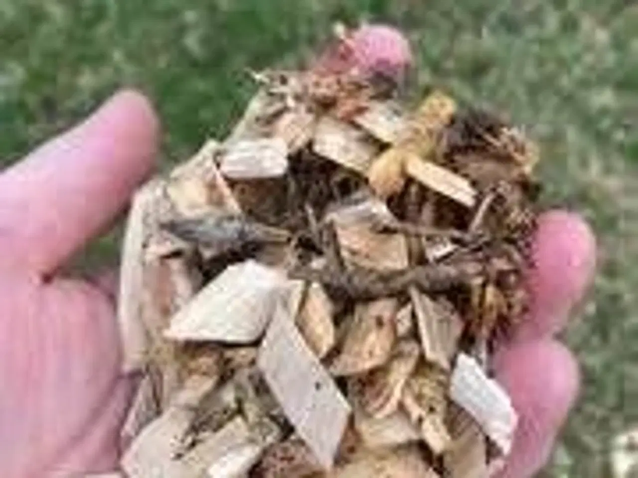 Billede 1 - Stokerflis og haveflis