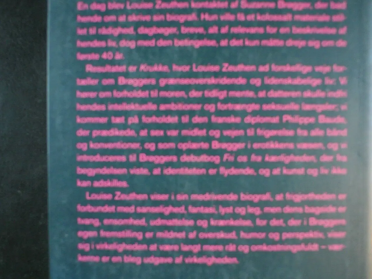 Billede 3 - krukke - en biografi om suzanne brøgger, af louise