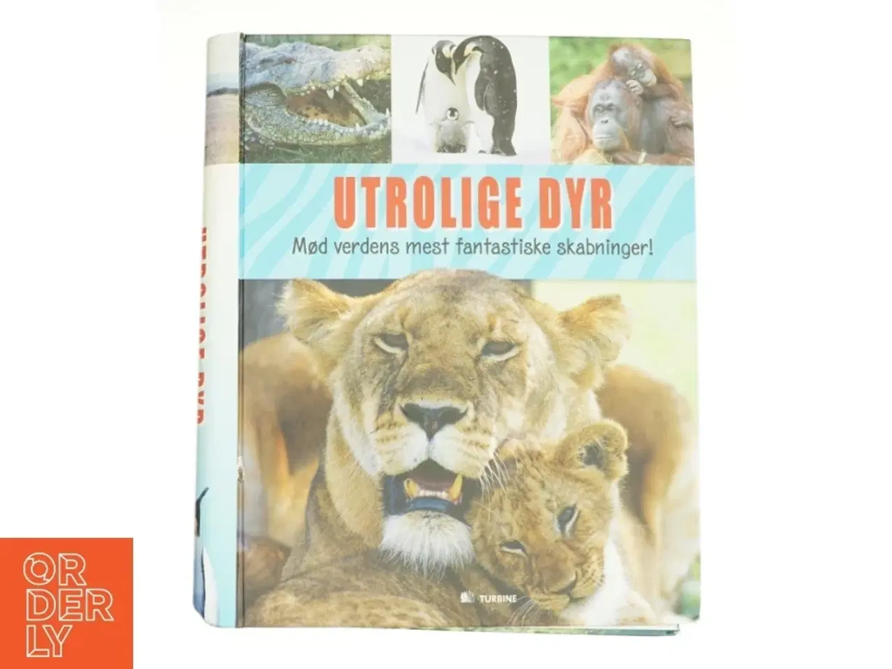 Billede 1 - Utrolige dyr (Bog)