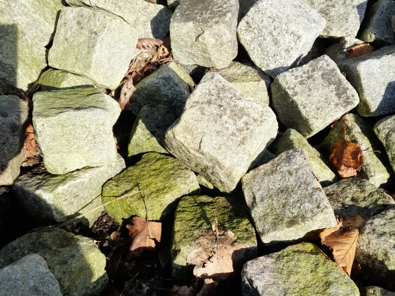 Billede 2 - chaussesten