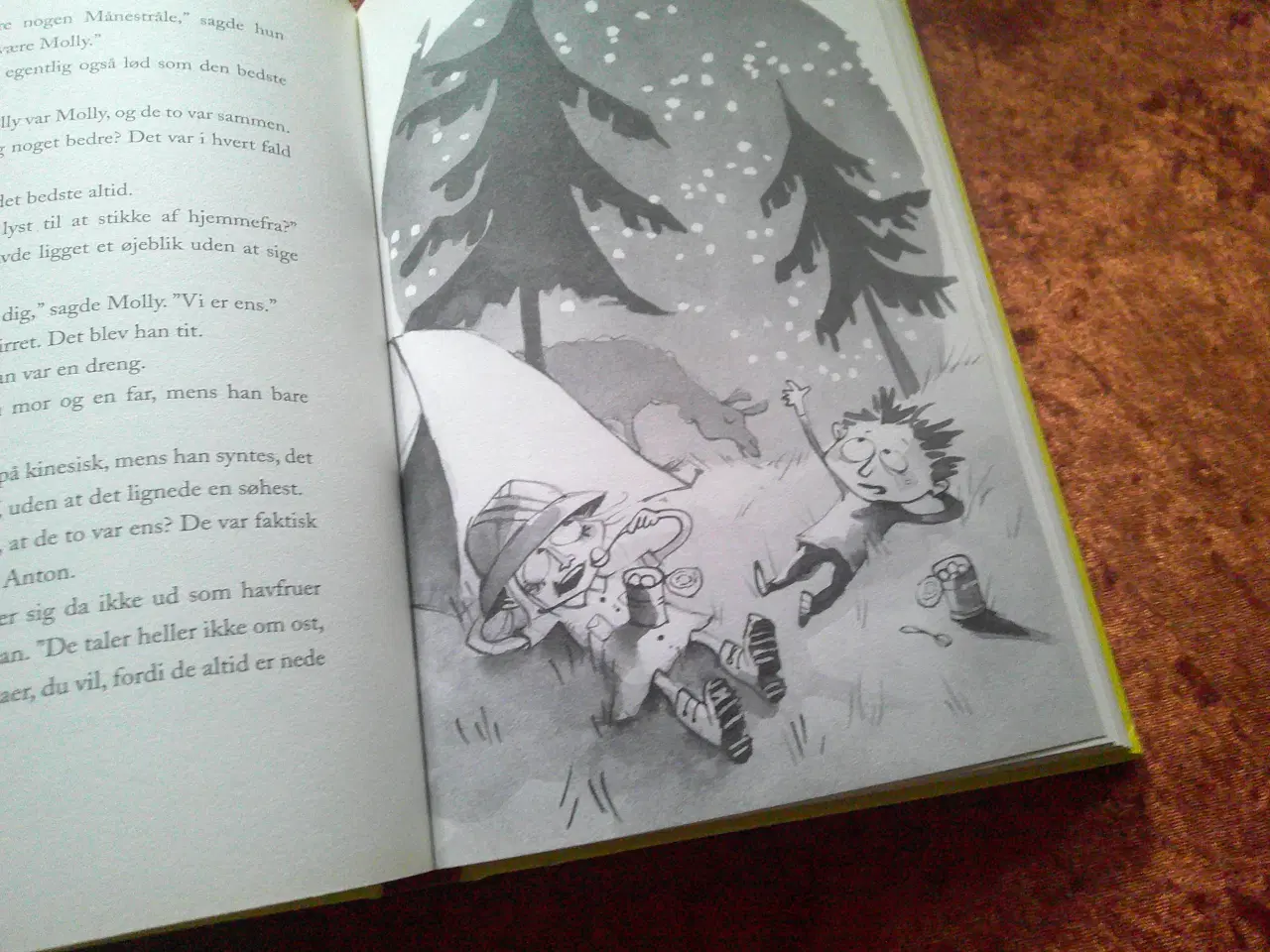 Billede 3 - Dig, mig og Lama, Lars Daneskov, 