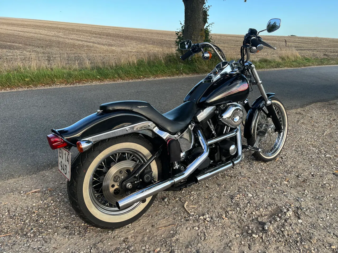 Billede 3 - Harley Davidson FXST SOFTTAIL
