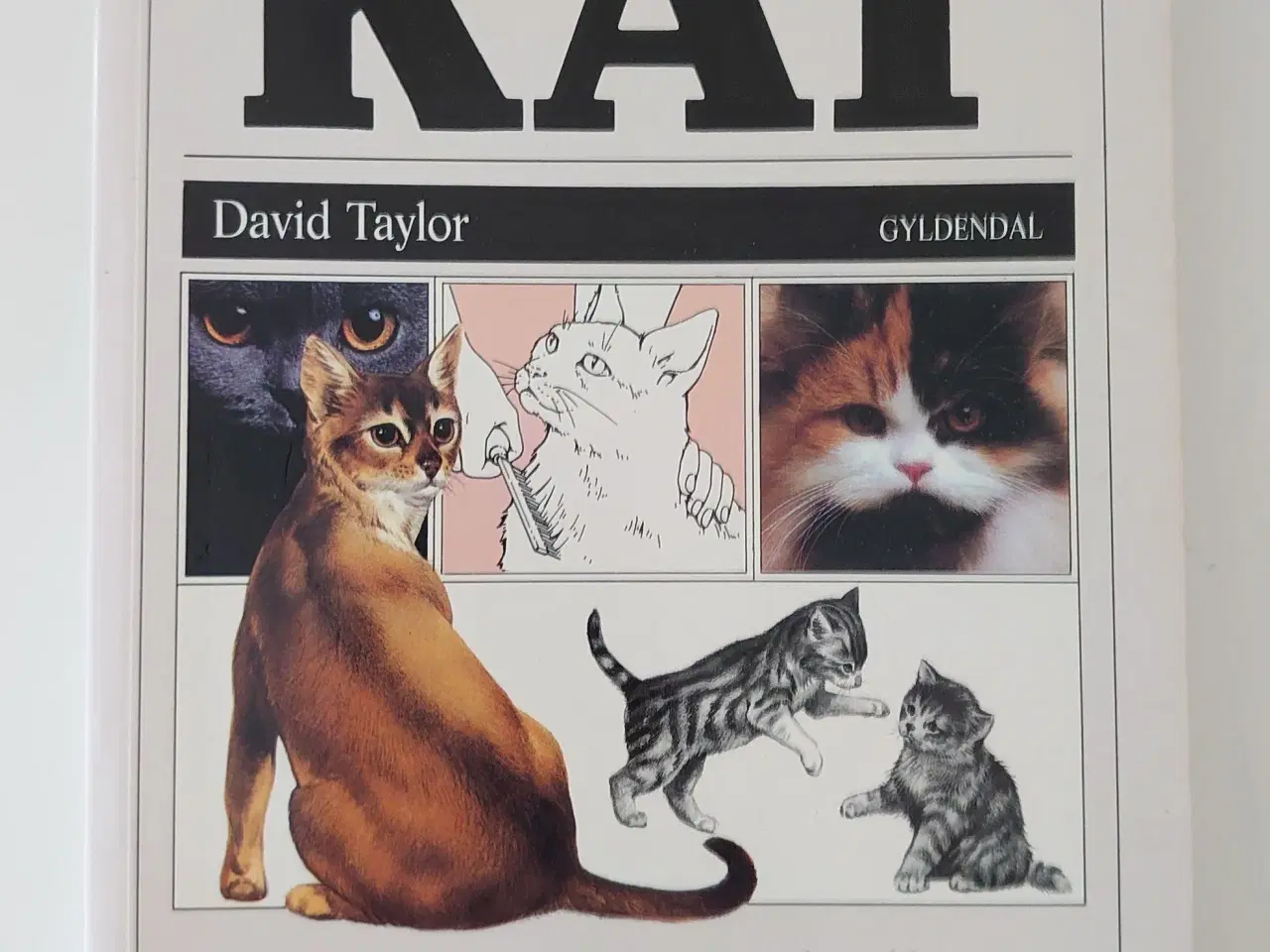 Billede 1 - David Taylor: Du og din Kat, Gyldendal 1990.