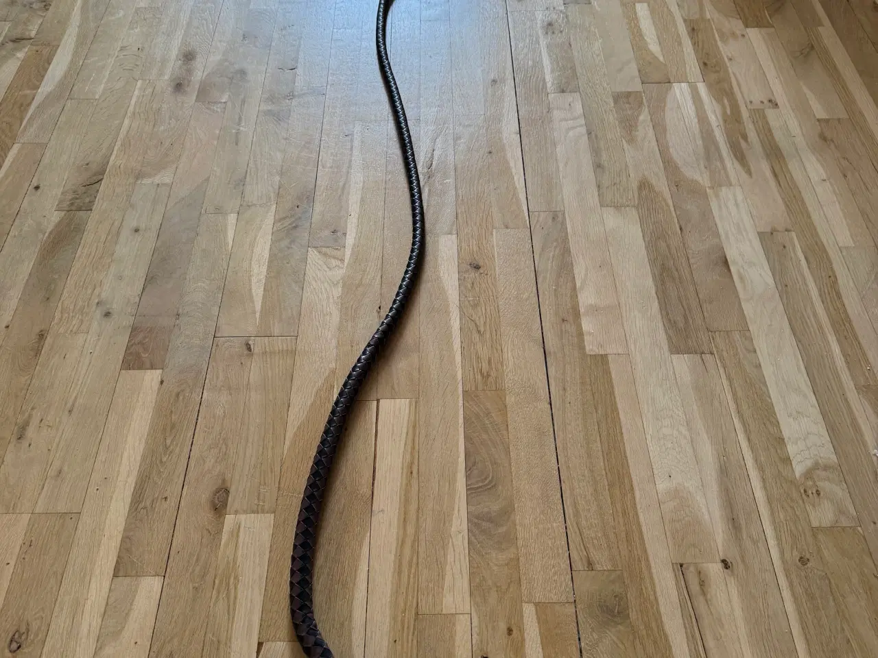 Billede 4 - Pisk til salg