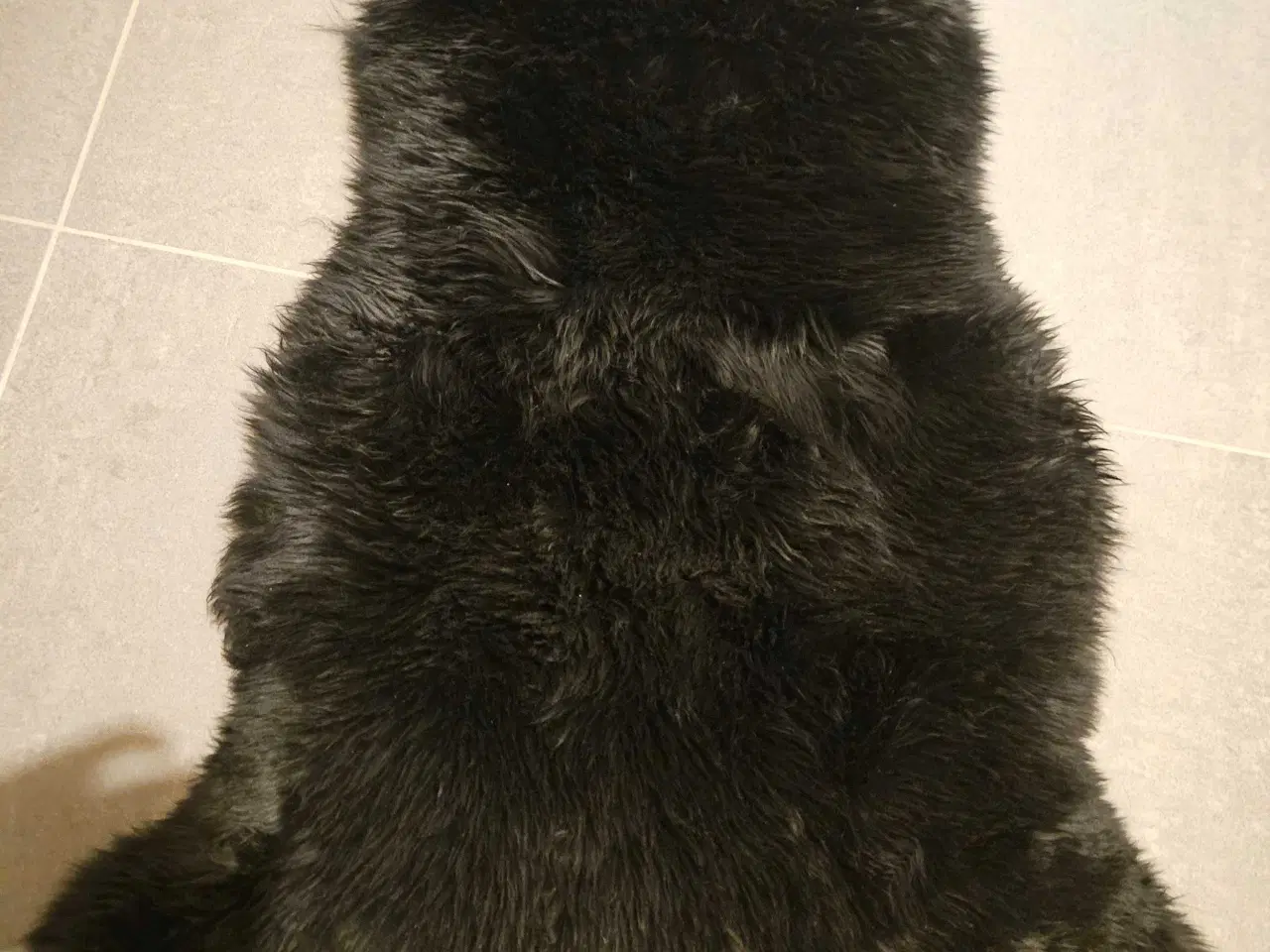 Billede 1 - Sort lammeskind