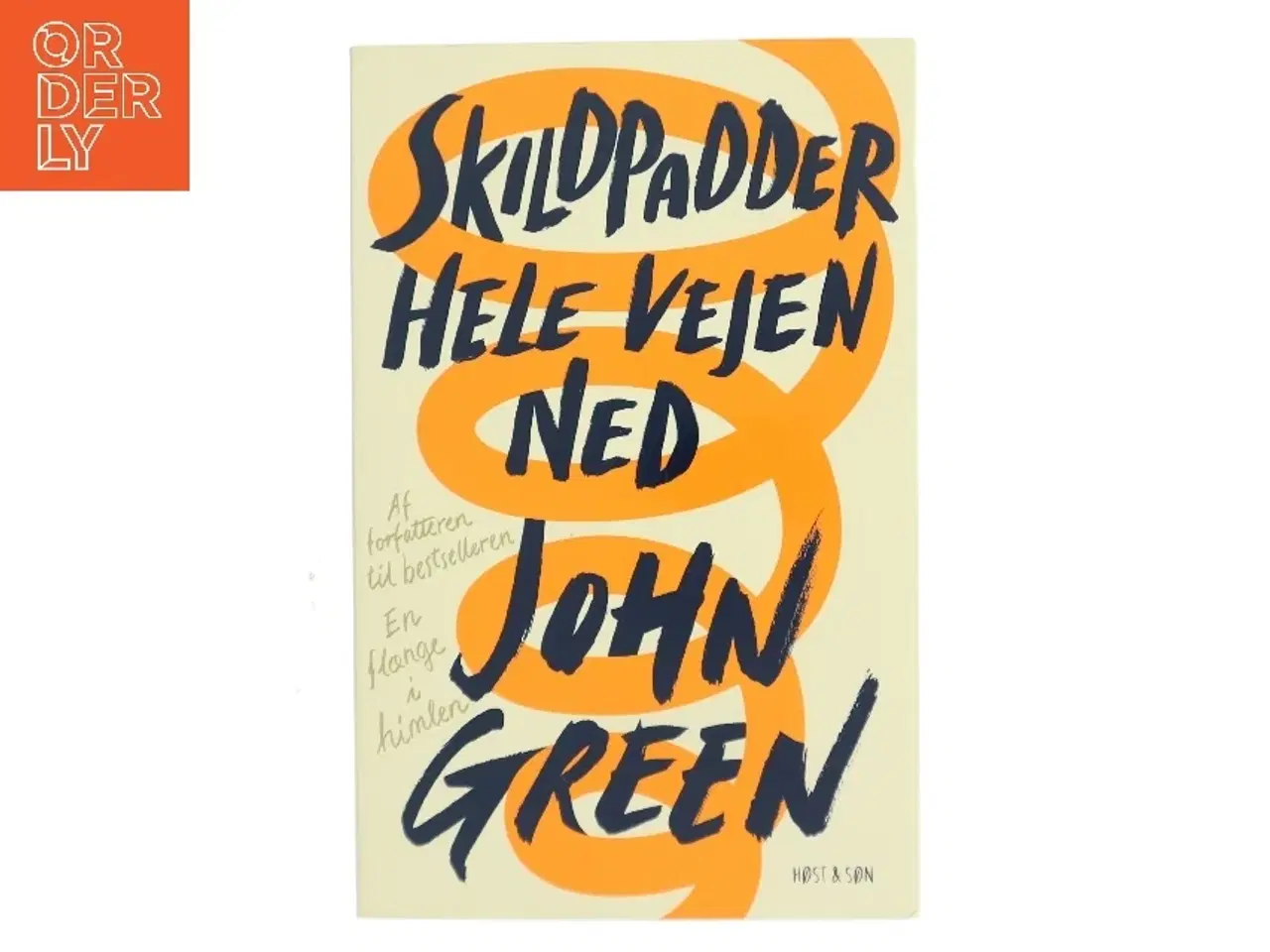 Billede 1 - Skildpadder hele vejen ned af John Green (f. 1977) (Bog)