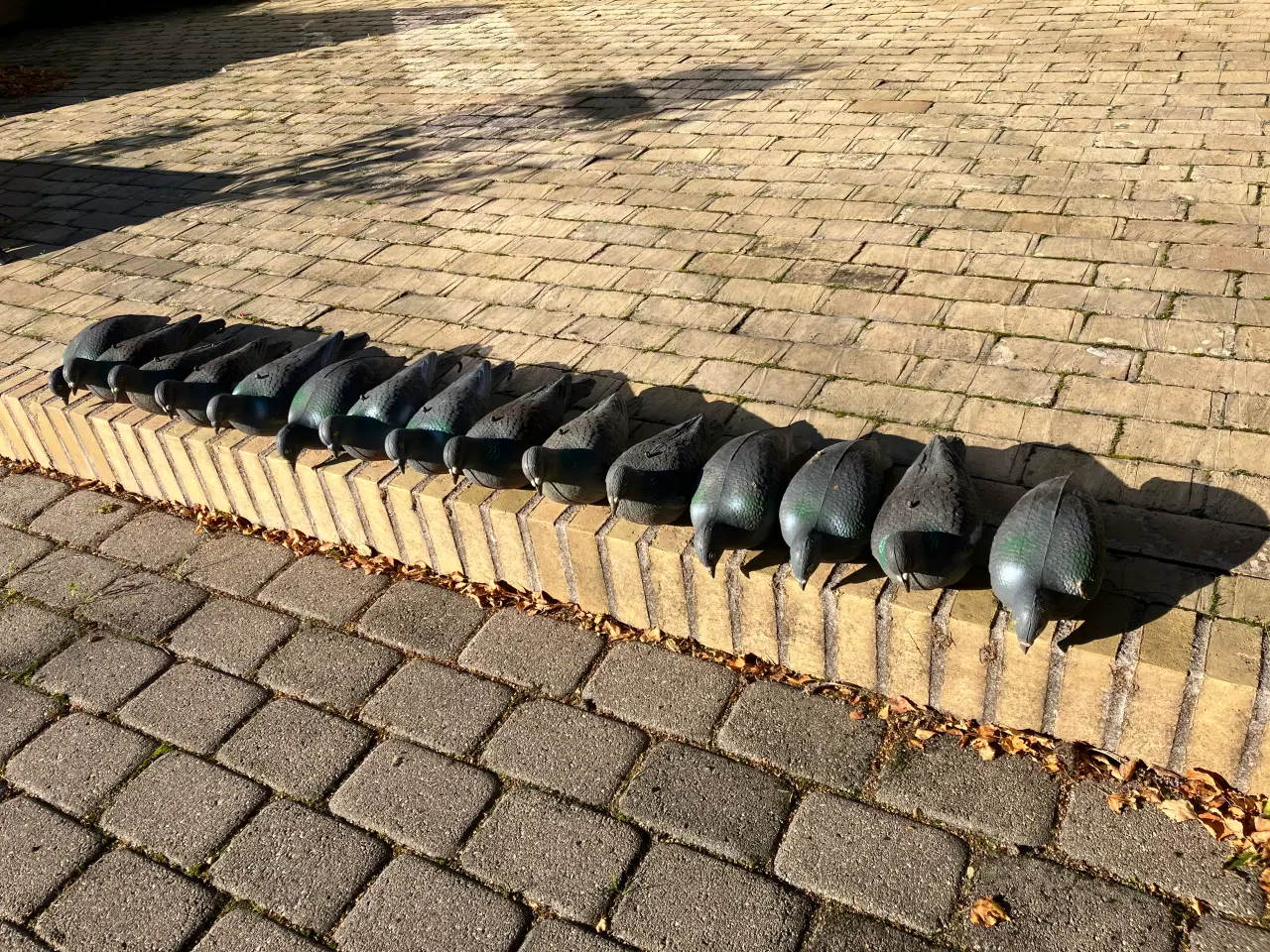 Billede 1 - Lokkeduer i plast