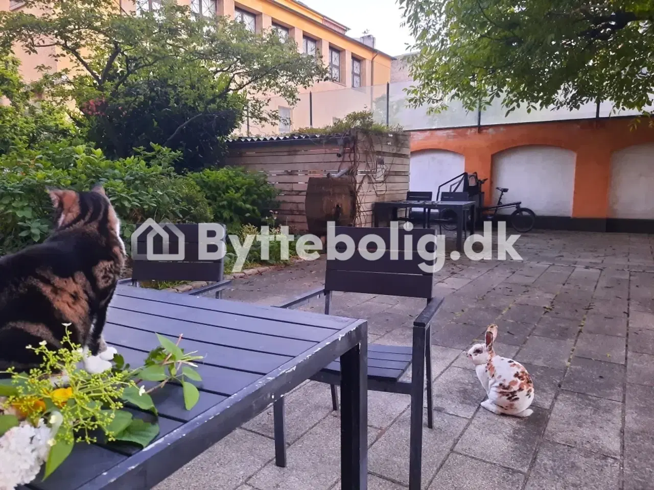 Billede 2 - Lys lejlighed i Indre By til bytte