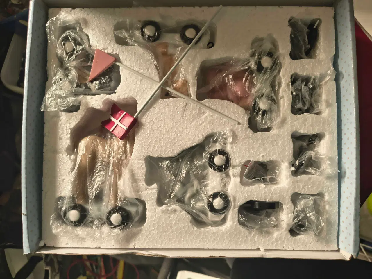 Billede 2 - Fødselsdagstog