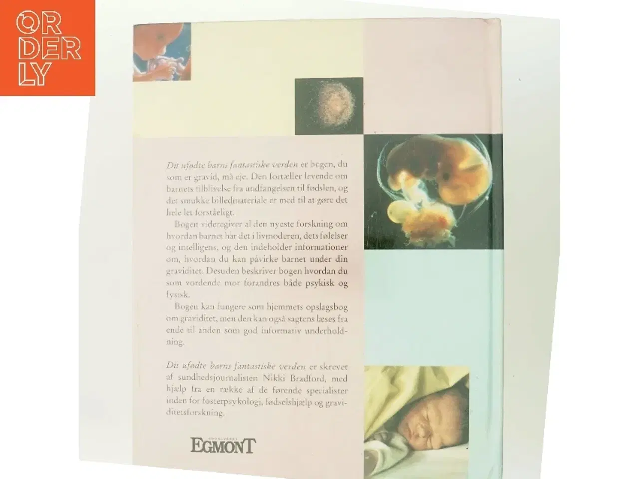 Billede 3 - Dit ufødte barns fantastiske verden af Nikki Bradford (Bog)